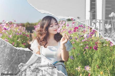 Tạo ảnh nghệ thuật dễ dàng với việc ghép ảnh bằng app Gemini Google AI Tạo ảnh nghệ thuật dễ dàng với việc ghép ảnh bằng app Gemini Google AI